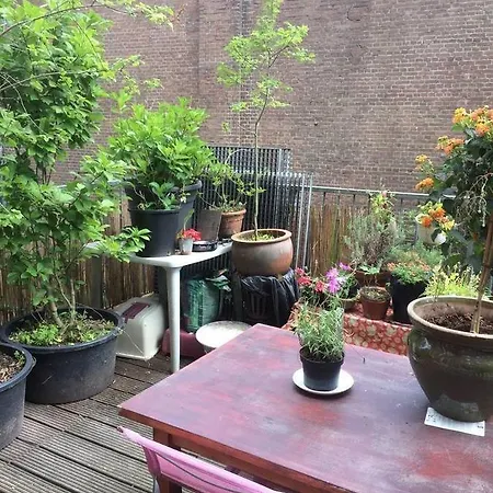 Wonder House + Roof Terrace!